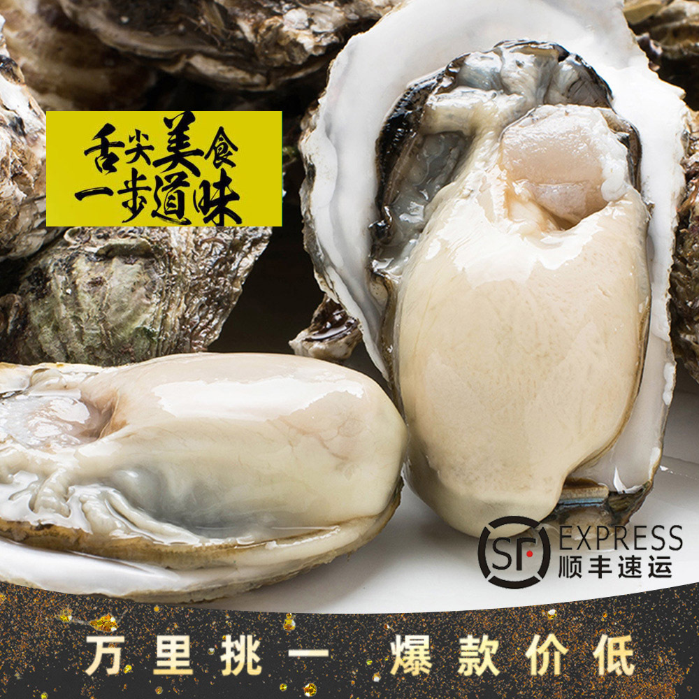 鲜活带壳生蚝5斤 青岛海鲜特产牡蛎海蛎子 5斤装 40只左右
